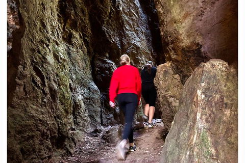 Exclusive Private Tour - Design Your Own - Sunshine Coast Guide 4