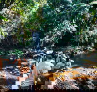 Aquaduck  Your choice of Gold Coast Rainforest Tour - Sunshine Coast Guide