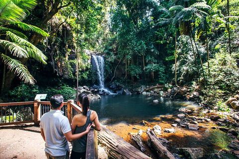 Aquaduck & Your Choice Of Gold Coast Rainforest Tour - Sunshine Coast Guide 0