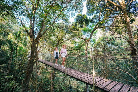Aquaduck & Your Choice Of Gold Coast Rainforest Tour - Sunshine Coast Guide 4
