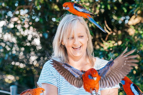 Aquaduck & Your Choice Of Gold Coast Rainforest Tour - Sunshine Coast Guide 5