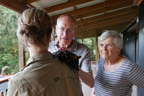 Sunset Experience - Sunshine Coast Guide 1