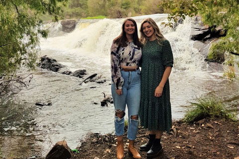 The All About Margaret River Tour: Wine, Coffee, Lunch And Forest - Sunshine Coast Guide 2