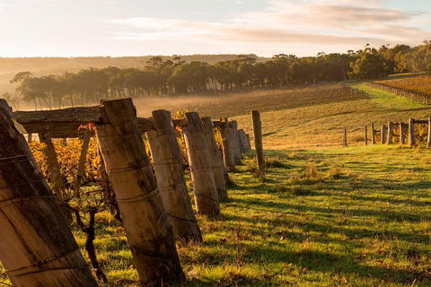 The All About Margaret River Tour: Wine, Coffee, Lunch And Forest - Sunshine Coast Guide 5