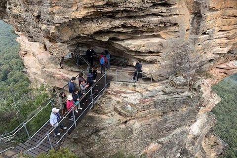 PJ Blue Mountains Supreme Day Tour - Sunshine Coast Guide 0