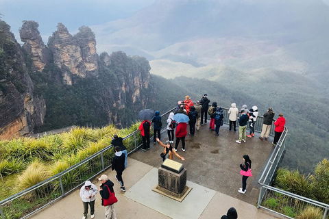 PJ Blue Mountains Supreme Day Tour - Sunshine Coast Guide 1