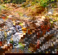 Full-day Springbrook National Park Tour from the Gold Coast - Sunshine Coast Guide