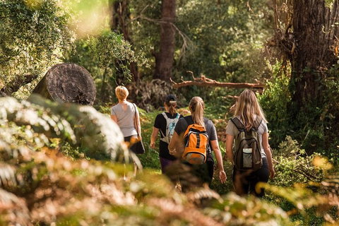 Cabaret Cave Yoga & Mindful Hike - Sunshine Coast Guide 2
