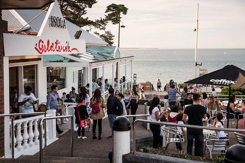 Phillip Island And French Island Wildlife Expedition - Sunshine Coast Guide 0