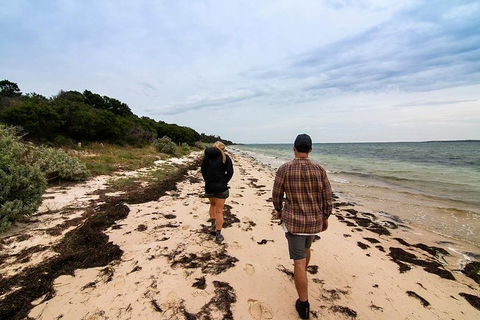 Phillip Island And French Island Wildlife Expedition - Sunshine Coast Guide 1