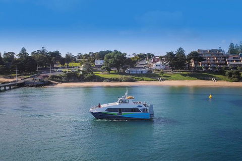 Phillip Island And French Island Wildlife Expedition - Sunshine Coast Guide 2