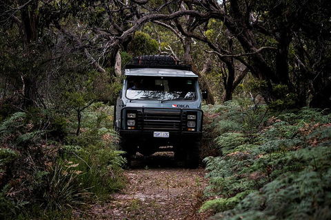 Phillip Island And French Island Wildlife Expedition - Sunshine Coast Guide 4