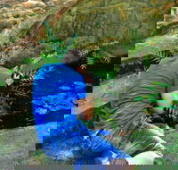 Highlights of Perth Photographic Tour - Sunshine Coast Guide