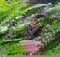 Full-Day Guided Hinterland Adventure Tour in Queensland - Sunshine Coast Guide