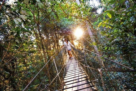 O'Reilly's & Lamington National Park From Brisbane - Sunshine Coast Guide 5