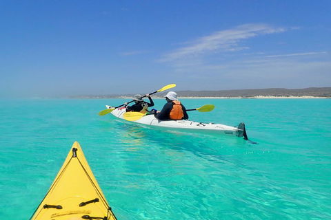 Lagoon Explorer - Ningaloo Reef Full-Day Kayaking And Snorkeling Adventure - Sunshine Coast Guide 0