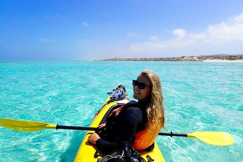 Lagoon Explorer - Ningaloo Reef Full-Day Kayaking And Snorkeling Adventure - Sunshine Coast Guide 1