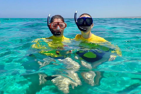 Lagoon Explorer - Ningaloo Reef Full-Day Kayaking And Snorkeling Adventure - Sunshine Coast Guide 4