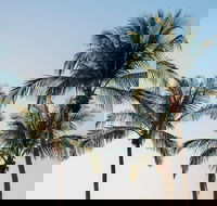 Darwin City Sightseeing Tour - Sunshine Coast Guide