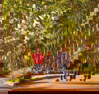 Darwin City Sights and Jumping Crocodile Cruise - Sunshine Coast Guide