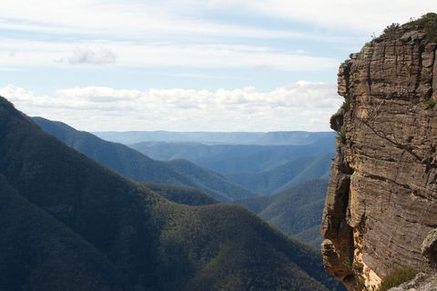 Inside The Greater Blue Mountains World Heritage - A Private Wildlife Safari Overnight - Sunshine Coast Guide 4