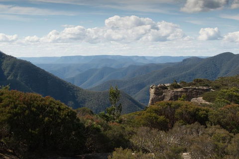 Inside The Greater Blue Mountains World Heritage - A Private Wildlife Safari Overnight - Sunshine Coast Guide 5
