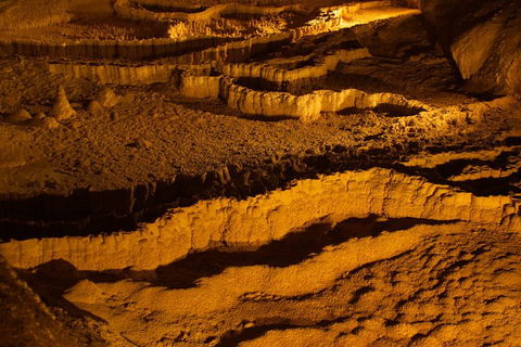 The Explorers' Discovery Tour - Gold, Wine & Wildlife - Sunshine Coast Guide 0