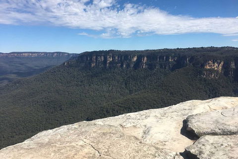 The Explorers' Discovery Tour - Gold, Wine & Wildlife - Sunshine Coast Guide 1