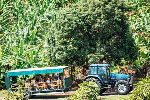 Northern Rivers Full Day Wine Tour - Sunshine Coast Guide 1