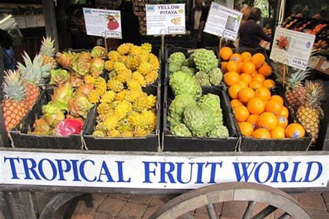 Northern Rivers Full Day Wine Tour - Sunshine Coast Guide 3