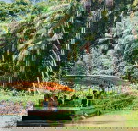 Tropical Fruit World Farm Full Tour - Sunshine Coast Guide