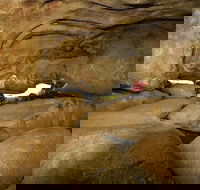 2-Day Wave Rock York Wildflowers  Aboriginal Experience - Sunshine Coast Guide