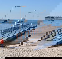 Monkey Mia Dolphins  Shark Bay Air Tour From Perth - Sunshine Coast Guide