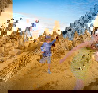 Full-Day Pinnacles Desert and Yanchep National Park Tour From Perth - Sunshine Coast Guide