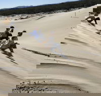 Port Stephens Bush Beach and Sand Dune 4WD Tag-Along Tour