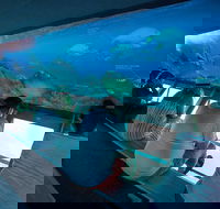 Great Barrier Reef Day Cruise to Reefworld - Sunshine Coast Guide