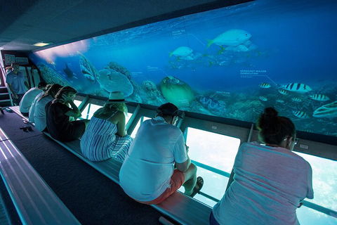 Great Barrier Reef Day Cruise To Reefworld - Sunshine Coast Guide 0