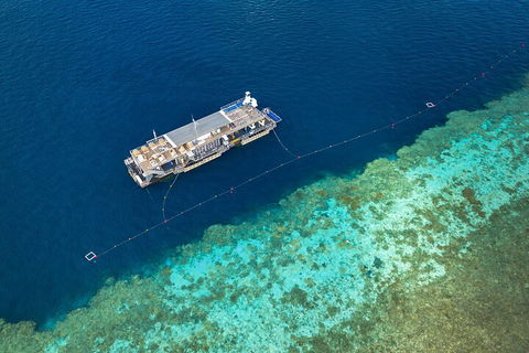 Great Barrier Reef Day Cruise To Reefworld - Sunshine Coast Guide 2