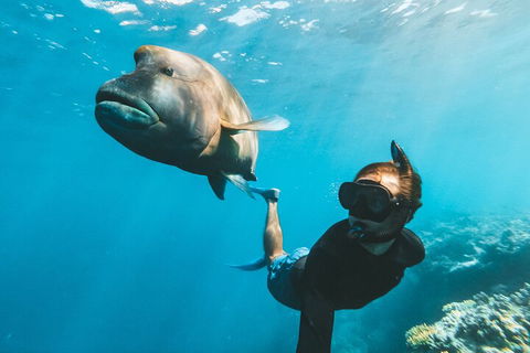 Great Barrier Reef Day Cruise To Reefworld - Sunshine Coast Guide 3