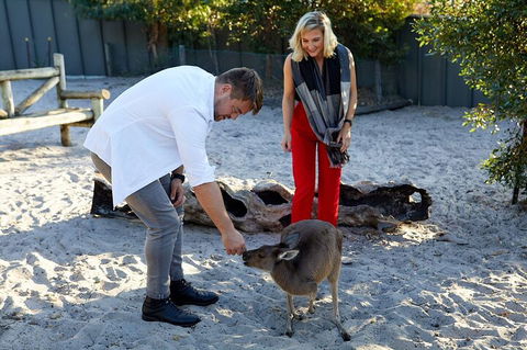 Albany's Whale Story - Sunshine Coast Guide 1