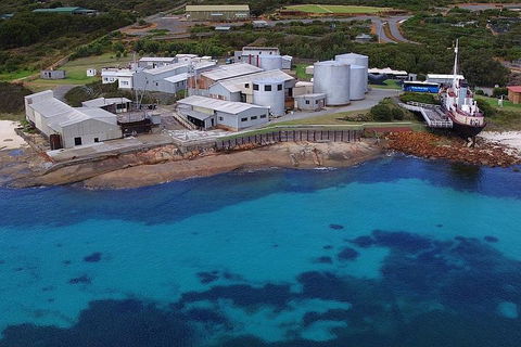 Albany's Whale Story - Sunshine Coast Guide 4