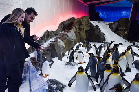 Penguin Passport At SEA LIFE Melbourne Aquarium - Sunshine Coast Guide 0