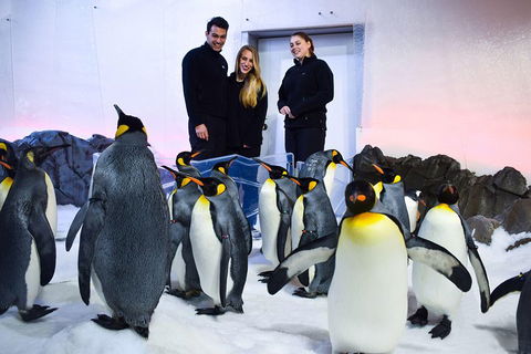 Penguin Passport At SEA LIFE Melbourne Aquarium - Sunshine Coast Guide 4