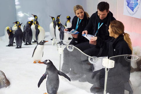 Penguin Passport At SEA LIFE Melbourne Aquarium - Sunshine Coast Guide 5