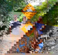 Cape Tribulation Daintree Rainforest and Wildlife Tour - Sunshine Coast Guide