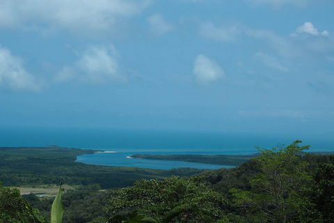 Cape Tribulation, Daintree Rainforest And Wildlife Tour - Sunshine Coast Guide 1