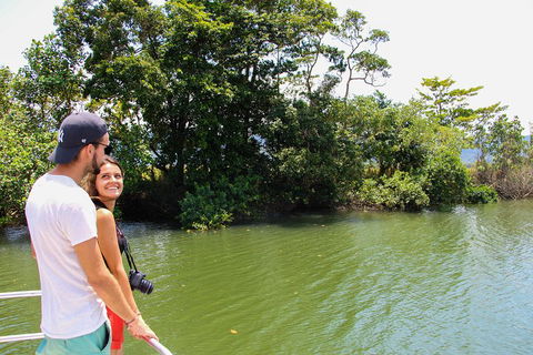 Cape Tribulation, Daintree Rainforest And Wildlife Tour - Sunshine Coast Guide 2