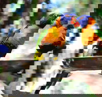 Wildlife Habitat Port Douglas - Sunshine Coast Guide