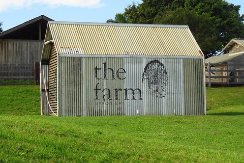 3-Hour Small-Group Byron Bay Tour - Sunshine Coast Guide 3