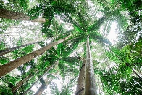 Fraser Explorer K'gari 2-Day Tour - Sunshine Coast Guide 2